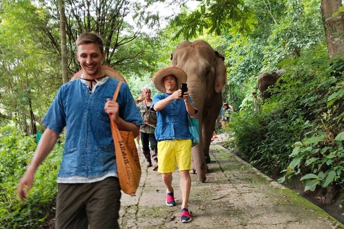 Ethical Elephant Visit and White Water Rafting in Chiang Mai - Price and Value: Is $58.67 Worth It?