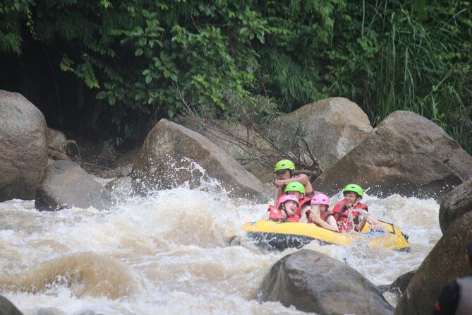Ethical Elephant Visit and White Water Rafting in Chiang Mai - Ethical Elephant Care at E-Co Adventure Camp (Walk, Feed, Learn)