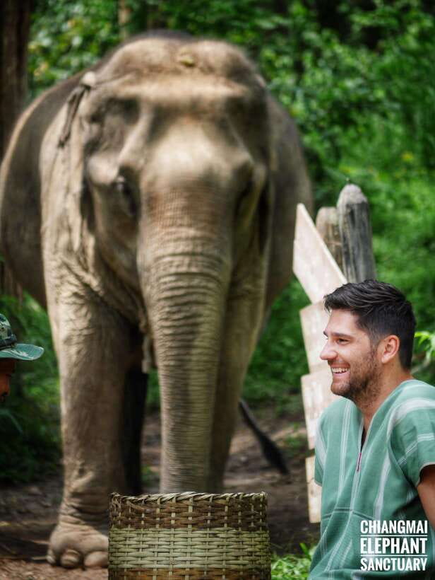 Exclusive experience half day with family giant animals - Key highlights at a glance