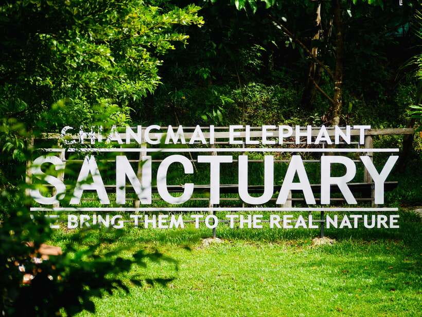 Exclusive experience half day with family giant animals - Uniforms, orientation, and meeting the elephants calmly