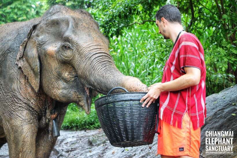 Exclusive experience half day with family giant animals - Who should book this family giant animals experience