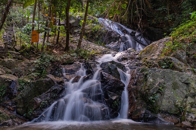 Explore Mae Kampong Village from Chiang Mai City - Pickup, total time, and how the day actually feels