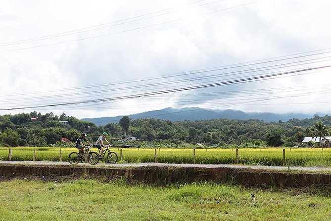 FIELDS OF GOLD Mountain Biking Tour Chiang Mai - Why This Chiang Mai Ride Feels More Like Countryside Than Tourism