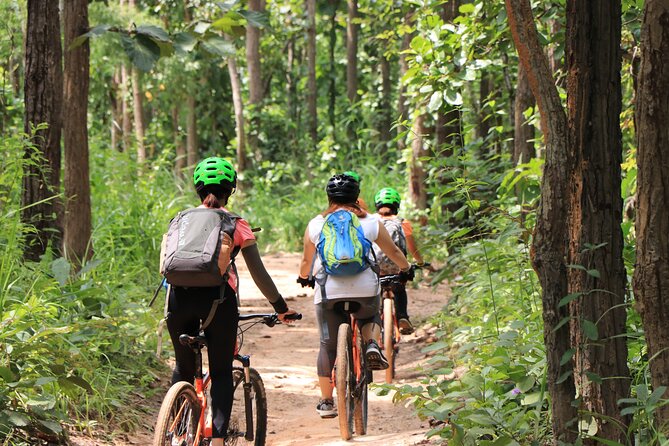 FIELDS OF GOLD Mountain Biking Tour Chiang Mai - Riding Through Hard Surface Trails, Farms, and Rice Fields
