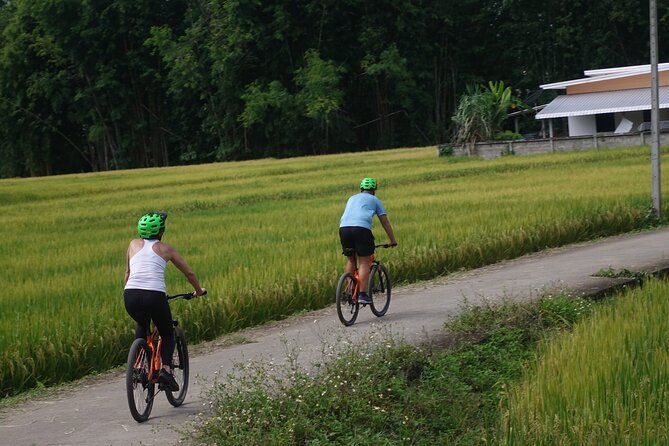 FIELDS OF GOLD Mountain Biking Tour Chiang Mai - Stop 1: Mok Fa Waterfall Photos and a Proper Cooling-Off Break