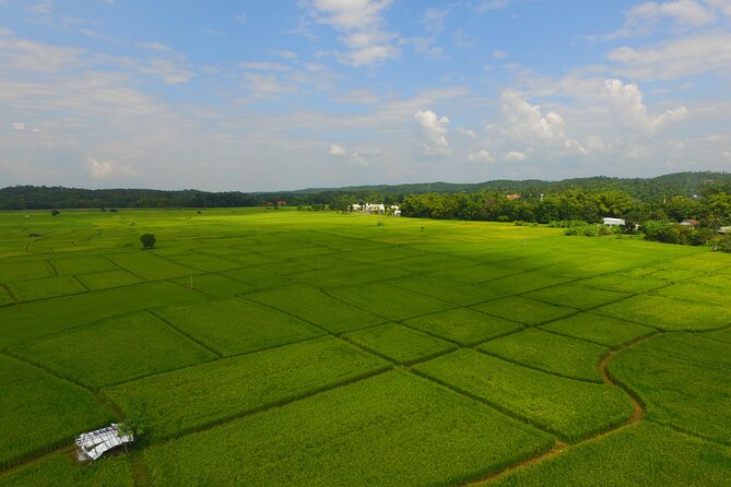 FIELDS OF GOLD Mountain Biking Tour Chiang Mai - Getting There at 8:30 and What the Small Group Means