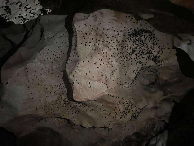 From Chiang Mai: Chiang Dao Cave & 5 Hill Tribe Villages - Chiang Dao Cave and Temple: The Highlight With Real Cave Work