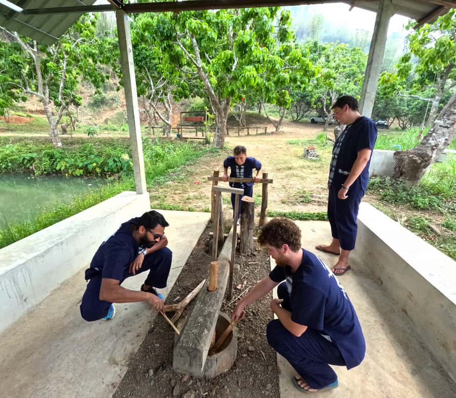 From Chiang Mai: Chiang Mai Elephant Care Morning Program - Price, value, and how this compares to typical elephant experiences