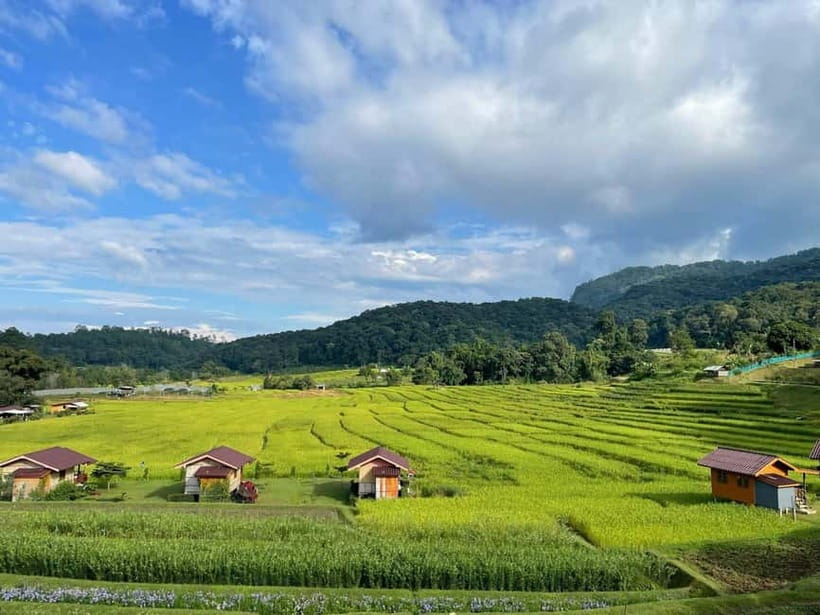 From Chiang Mai: Doi Inthanon National Park Day Trip - Twin Pagodas and Garden Views: Where Culture Meets Mountain Air