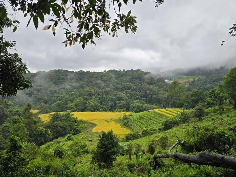 From Chiang Mai: Doi Inthanon National Park Day Trip - Sirithan Waterfall: The First Big Water Hit