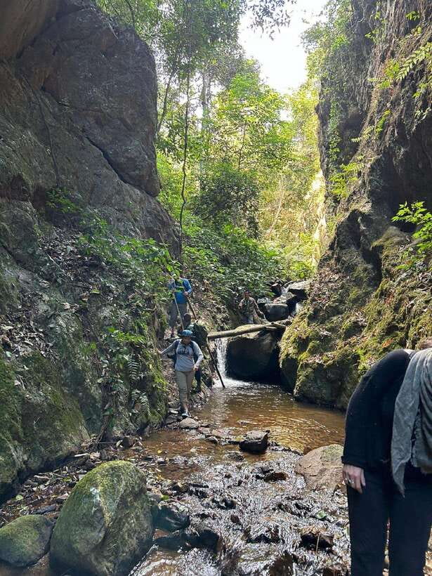 From Chiang Mai: Doi Saket Hiking Tour with Lunch - Who This Hike Fits (and Who Should Skip It)