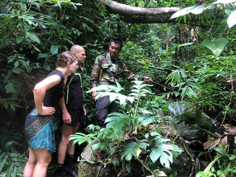 From Chiang Mai: Doi Saket Hiking Tour with Lunch - The Real Trek Through Doi Saket Jungle: Old Trees and Steep Steps