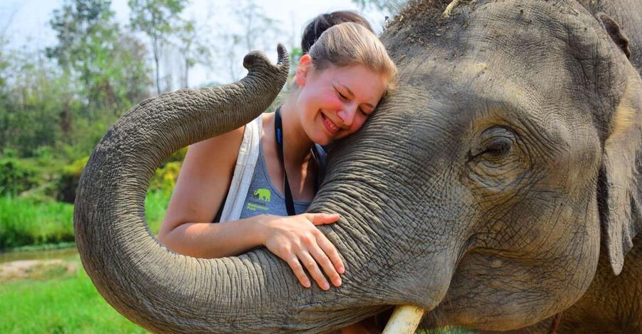 From Chiang Mai: Elephant Care Program and Nursery Tour - Key things I think you will care about