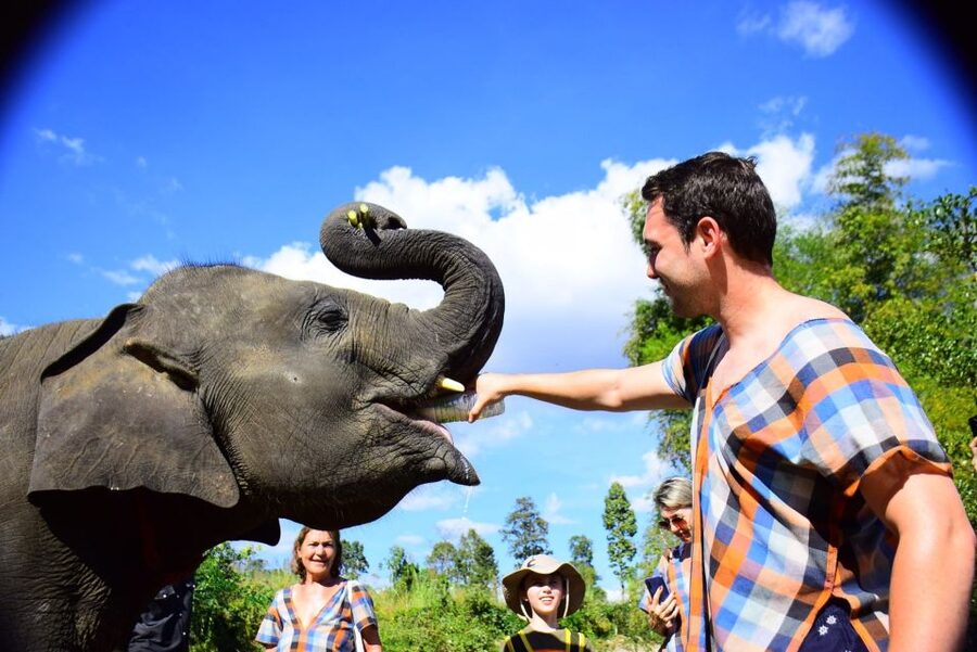 From Chiang Mai: Elephant Care Program and Nursery Tour - From your hotel to Mae Tang: what the morning feels like