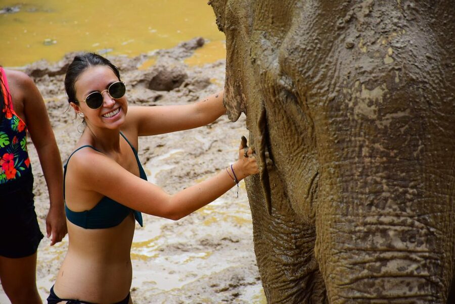 From Chiang Mai: Elephant Care Program and Nursery Tour - Mud pool and sand spa: the highlight, with one real logistics tip