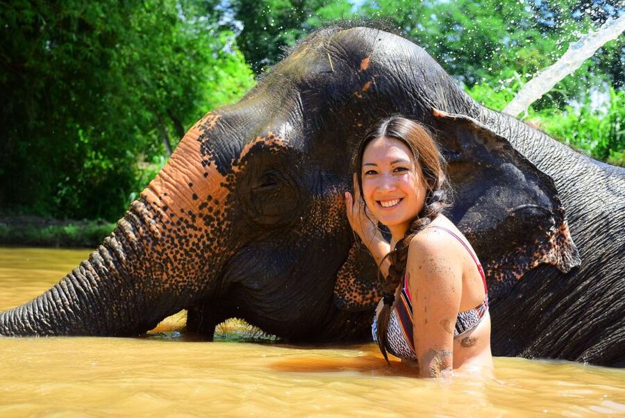 From Chiang Mai: Elephant Care Program and Nursery Tour - Meeting baby elephants and taking photos at their pace