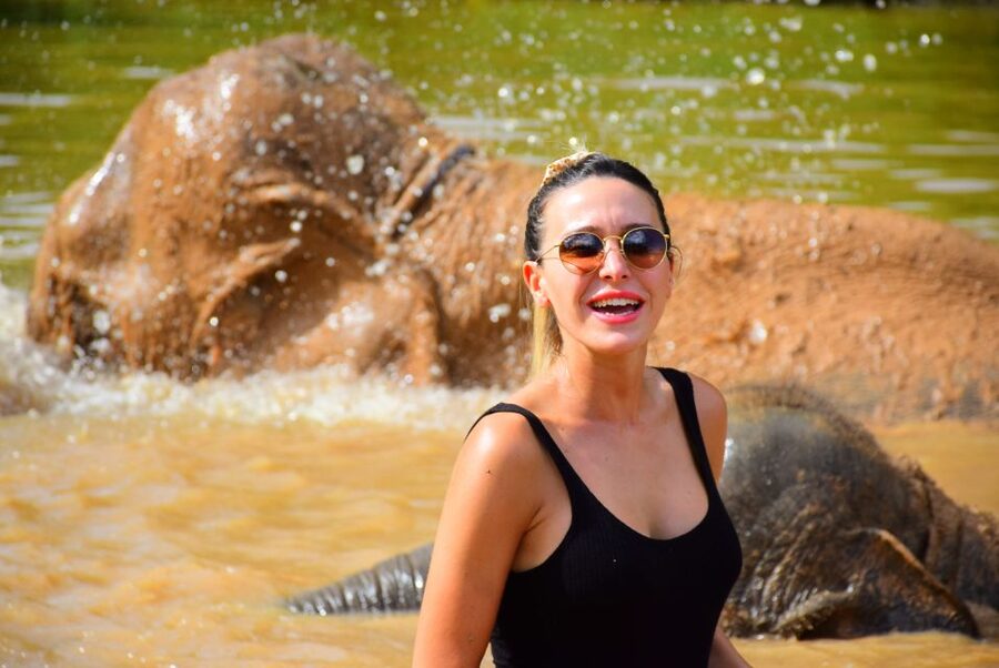 From Chiang Mai: Elephant Care Program and Nursery Tour - Price and value: what $53 buys you in Chiang Mai