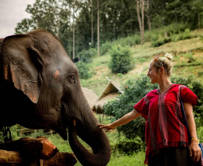 From Chiang Mai: Kerchor Eco Elephant Park Tour - Key moments that make this elephant day in Chiang Mai worth it