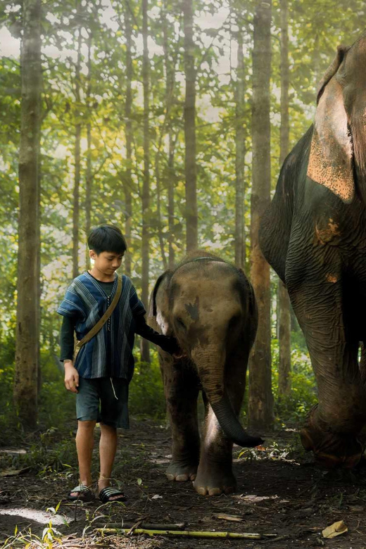 From Chiang Mai: Kerchor Eco Elephant Park Tour - River bathing: what it feels like and what to bring