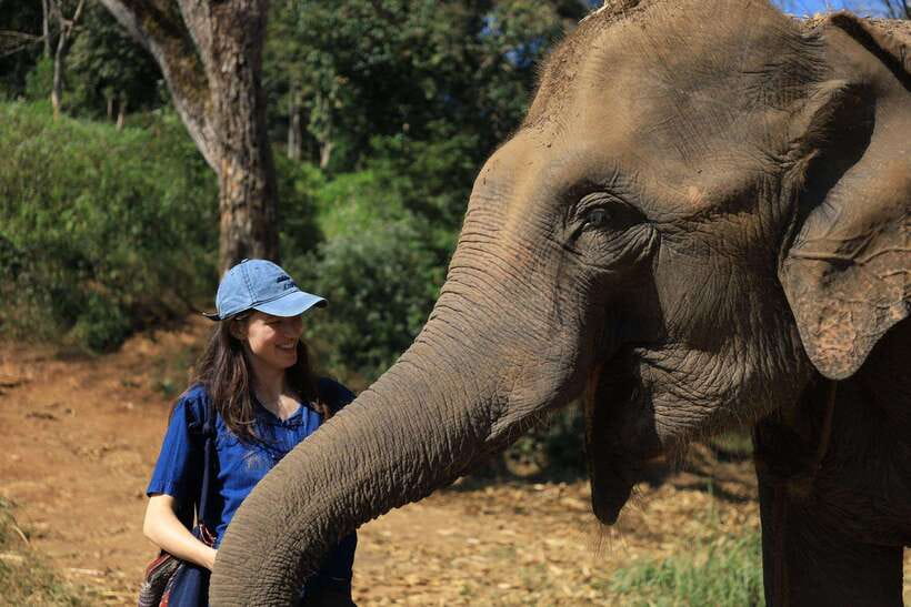From Chiang Mai: Living Green Elephant Sanctuary Tour - Key Things I’d Plan Around
