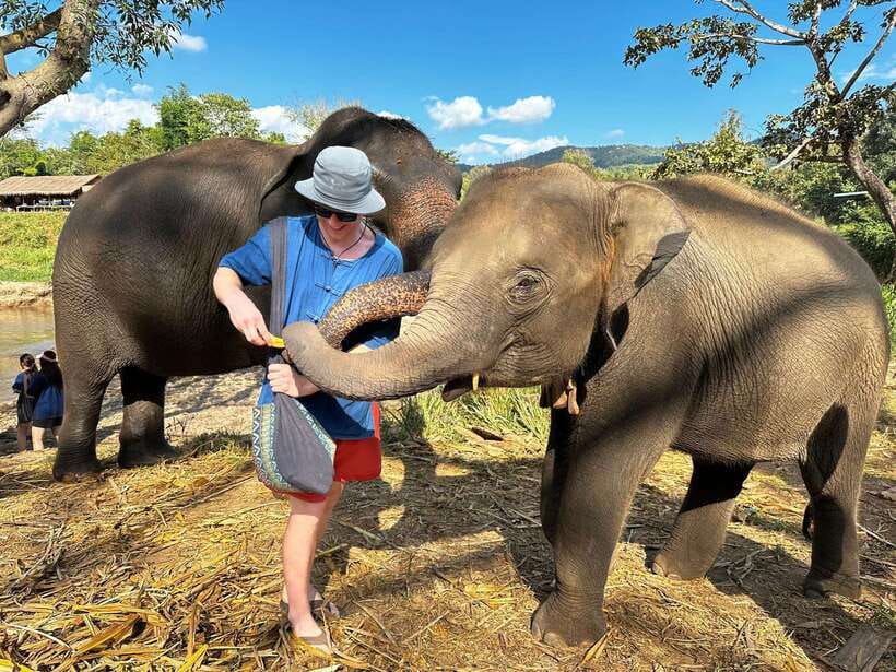 From Chiang Mai: Living Green Elephant Sanctuary Tour - Half-Day vs Full-Day: Choosing the Right Time Block