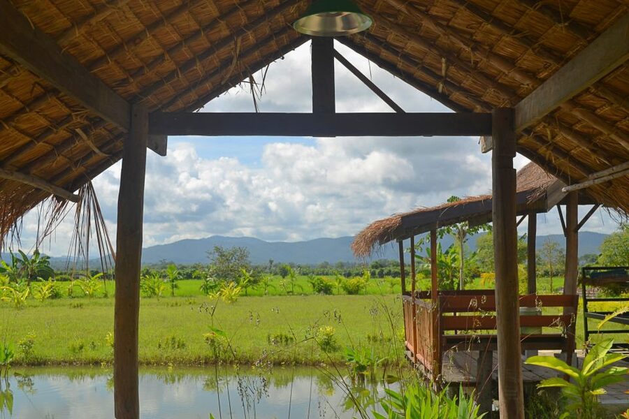 From Chiang Mai: Mae Taeng Valley and Waterfalls Cycle Tour - The morning ride: rice fields, plantations, and quiet village routines