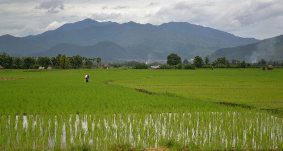 From Chiang Mai: Mae Taeng Valley and Waterfalls Cycle Tour - Wat Ban Den: a temple stop that breaks up the riding
