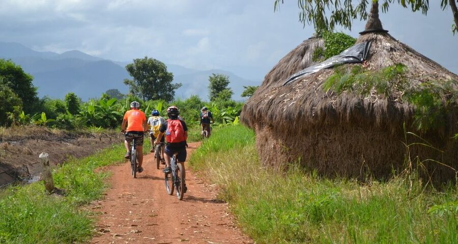 From Chiang Mai: Mae Taeng Valley and Waterfalls Cycle Tour - Afternoon choice: ride more or go straight to Bua Thong