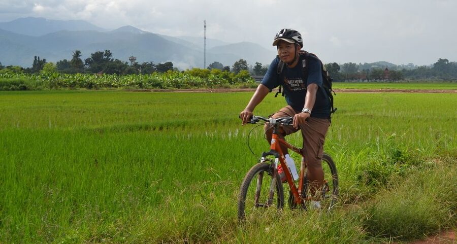 From Chiang Mai: Mae Taeng Valley and Waterfalls Cycle Tour - Price and value: why $73 often feels fair for this kind of day