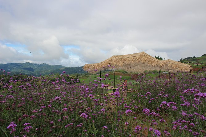 Fruiful Oneday! Trip outskirt of a City from end to end - Key highlights worth planning for