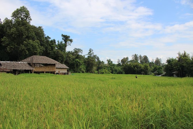 Fruiful Oneday! Trip outskirt of a City from end to end - A Fruiful Oneday loop outside Chiang Mai that actually fits in one day