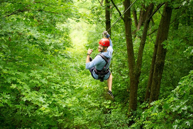 Full Day Chiang Mai Zipline Adventure, Rafting, ATV-ing, and Sticky Waterfall - Lunch Buffet Break: Fueling the Afternoon Without a Search Mission