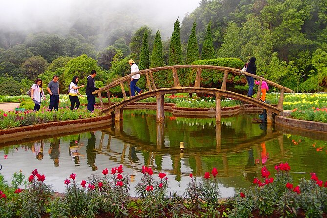 Full Day Doi Inthanon National Park Tour( Joint) - Pickup, small group size, and what the pace really means