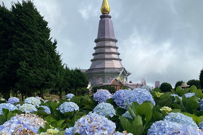 Full-Day Doi Inthanon National Park Tour with Trek and Pagodas - Pha Dok Siew Nature Trail Trek: Shade, Jungle Paths, and Real Walking Time
