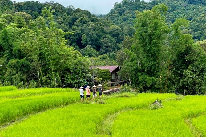 Full-Day Doi Inthanon National Park Tour with Trek and Pagodas - Coffee Stop at Baan Mae Klang Luang: A Sweet Reset Before the Waterfall