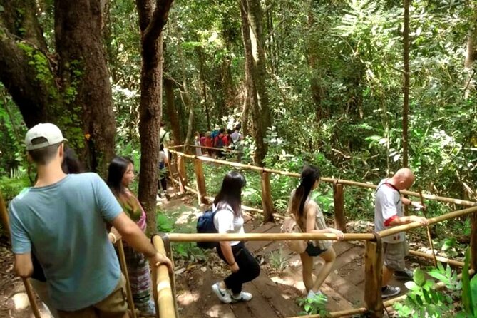 Full-Day Doi Inthanon National Park Tour with Trek and Pagodas - Price and Value: What $61.74 Gets You in a Long Day