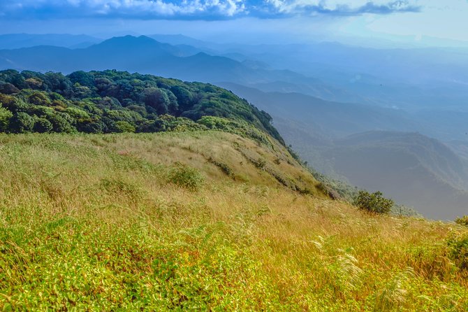 Full-Day Doi Inthanon Nature Tour from Chiang Mai - The Optional Chom Thong Stop, If Time Allows