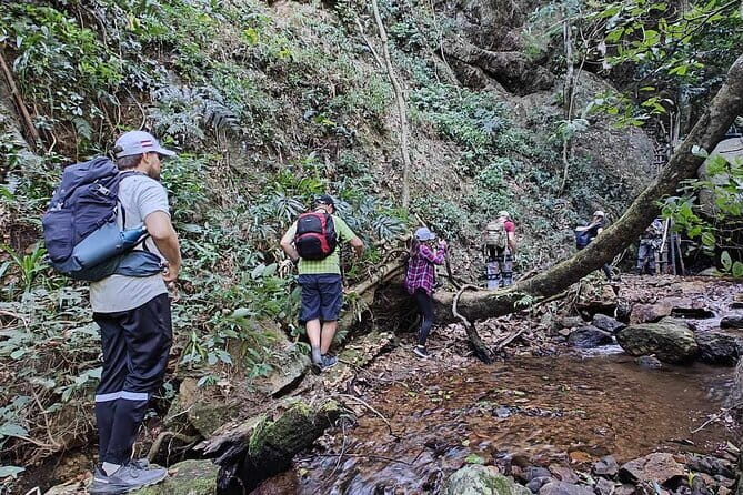 Full Day Doi Saket Hiking Tour - Key highlights you’ll actually feel on the day