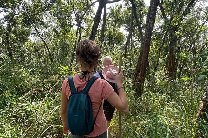 Full Day Doi Saket Hiking Tour - Price and value: why $58.32 can be a fair deal