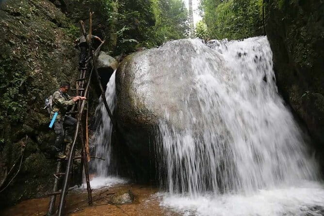 Full Day Doi Saket Hiking Tour - Morning trek: 100-year-old trees and views you earn step by step
