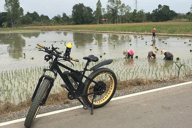 Full-day E-bike Countryside and Nam Phrae (flat-hilly, GUIDED) - A Chiang Mai Day That Feels Like Countryside, Not a Schedule