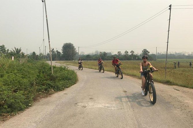 Full-day E-bike Countryside and Nam Phrae (flat-hilly, GUIDED) - Ping River Countryside: Rice Fields, Orchards, and Easy Scenic Flow