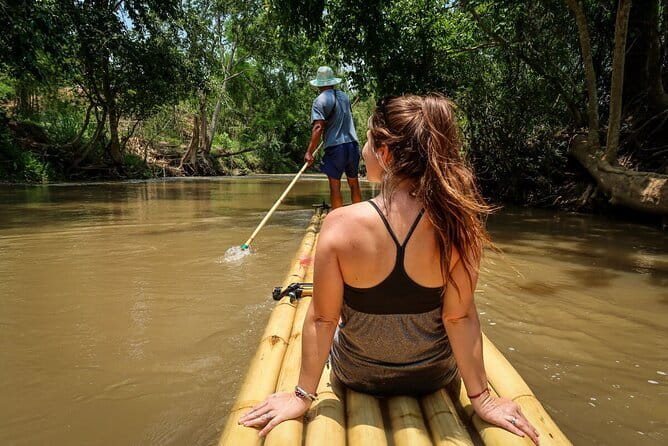 Full Day Elephant Bathing and Bamboo Rafting Tour in Chiang Mai - Mae Taman to Mae Wang: a full-day mix that keeps the day moving