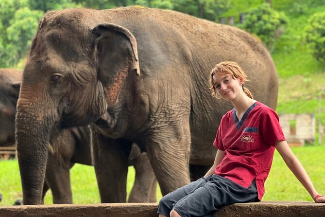 Full Day Experience at Ran-Tong Save & Rescue Elephant Centre - Lunch at the centre, Thai food, fruits, and diet flexibility
