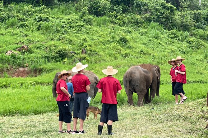 Full Day Experience at Ran-Tong Save & Rescue Elephant Centre - Walking with elephants in their natural habitat