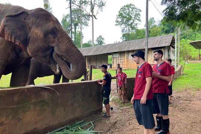 Full Day Experience at Ran-Tong Save & Rescue Elephant Centre - What to pack so the day stays comfortable