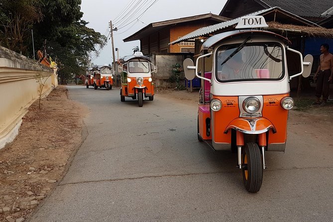Full-Day Guided Tuk Tuk Chiang Mai Adventure and Rafting - Elephant feeding and bathing: what’s included, what’s not