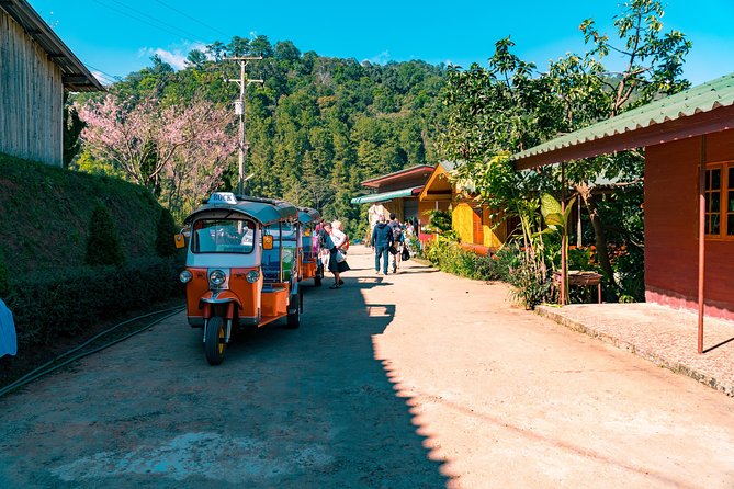 Full-Day Guided Tuk Tuk Chiang Mai Adventure and Rafting - Thai lunch and the real rhythm of a 10-hour day