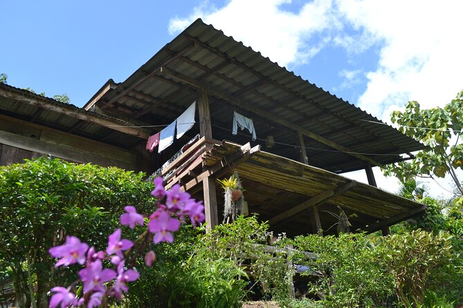 Full-Day Hike and Bike Tour from Chiang Mai - The Waterfall Snack Moment: A View Break You Can Actually Taste