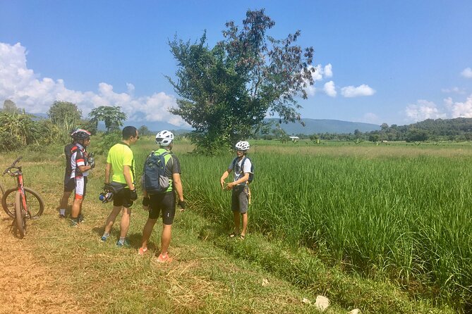 Full-Day Hike and Bike Tour from Chiang Mai - Thai Picnic Lunch by the Waterfall: Simple, Scenic, and Included
